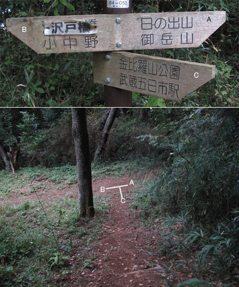 20161014hike (45)